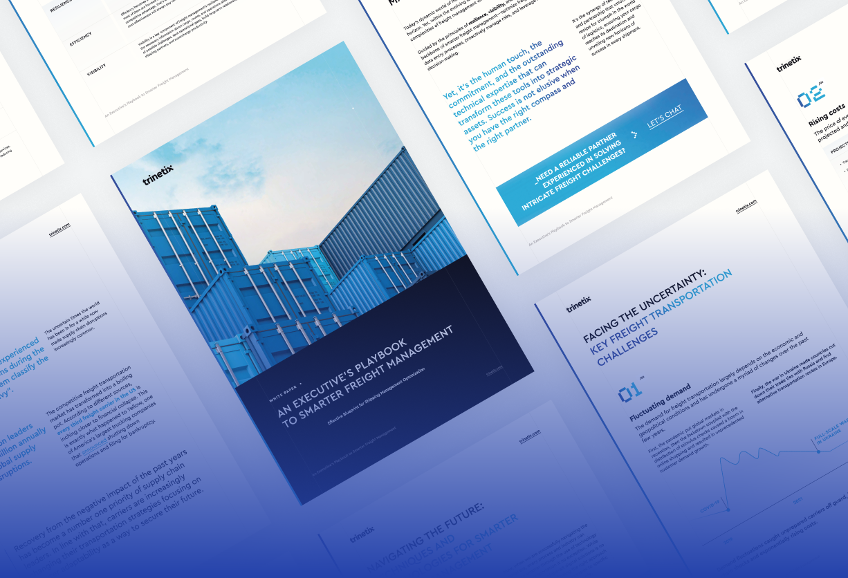 an-executive-s-playbook-to-smarter-freight-management-trinetix